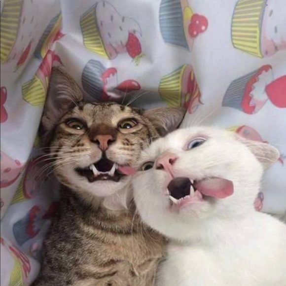 Profile Picture of Amanda Gilbert (@amrood07) on Poshmark