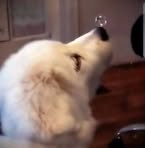 Irma Jean Erickson Gola - Facebook Profile Picture of Irma Jean Erickson Gola (@irmajean.ericksongola) on Facebook