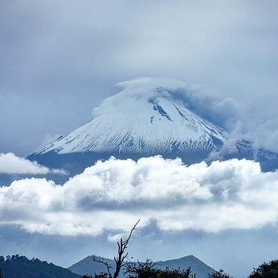 Profile Picture of Aaron Castaneda Espe (@CaEsAaron) on Twitter