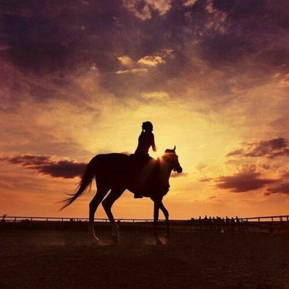 Profile Picture of Hazel Anderson (@cowgirlseavy3) on Poshmark