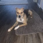 Profile Picture of Christine Riney (@christinehriney) on Instagram