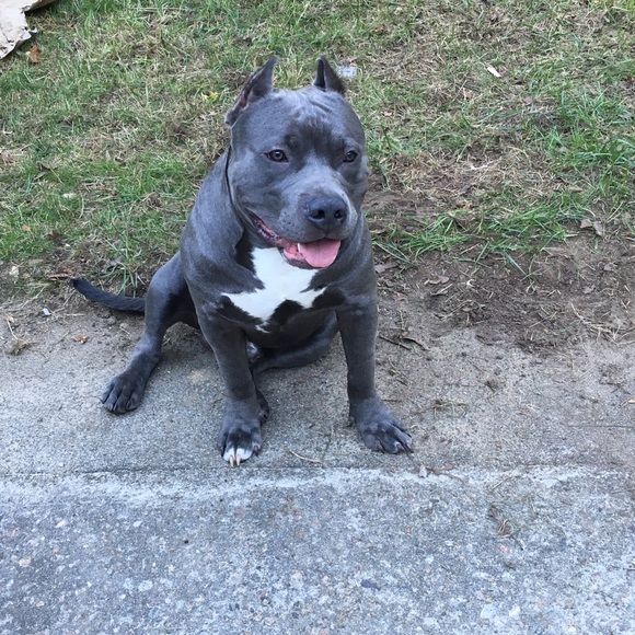 Profile Picture of Connor Fay (@cfay1017) on Poshmark