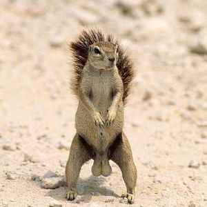 Profile Picture of Barry Ballard (@316581218) on Myspace