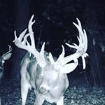 Profile Picture of Nathan Murphy (@nathan_murphy64) on Instagram