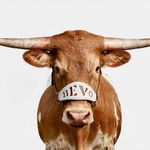 Profile Picture of Brian Nevitt (@azlonghorns_) on Instagram