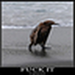 Profile Picture of Jo Angus (@999graffix) on Flickr