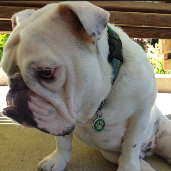 Profile Picture of Xiang Zhang (@xiangz) on Poshmark