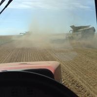 Profile Picture of Blake Weisgerber (@blakeweisgerber) on Pinterest