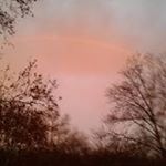 Profile Picture of Tim Satterfield (@satterfield7277) on Instagram