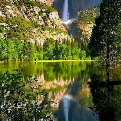 Profile Picture of Alvin bever (@AlvinBever) on Twitter