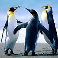 Profile Picture of Prasad Narayan (@prasad-narayan-4) on Quora