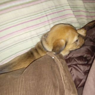 Profile Picture of thomas ramsell (@thomasr316) on Instagram