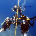 Profile Picture of Thomas Clement (@thomas_clement19) on Instagram