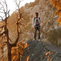 Profile Picture of Honey Anand (@honey-anand) on Quora