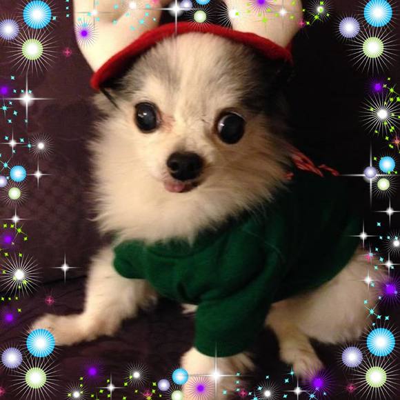 Profile Picture of Ronnie Hammond (@ronniehammond) on Poshmark