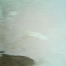 Profile Picture of Nguyễn Tấn Sang (@NguynTn75620195) on Twitter