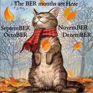 Profile Picture of Virginia Ferrell (@virginia.ferrell.37) on Facebook