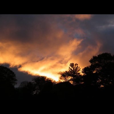 Profile Picture of Hd (@AlexUnderhill7) on Twitter