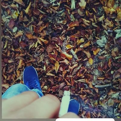 Profile Picture of Posranko (@MulalicAzem) on Twitter