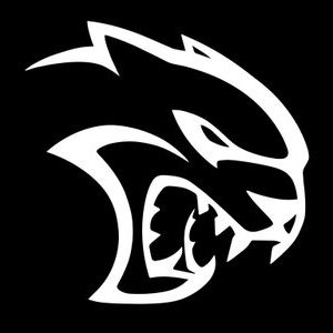 Profile Picture of Pat Petro (@patpetroniro) on Twitter