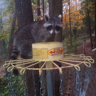 Profile Picture of David Cannon (@david.cannon.982) on Facebook