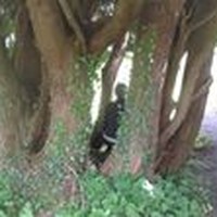 Profile Picture of Mary Stokes (@mary-stokes-12) on Quora