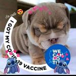 Profile Picture of Eugene Levesque (@levesqueeugene936) on Instagram