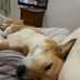 Profile Picture of Scott Mcnab (@scott.mcnab.1848) on Facebook