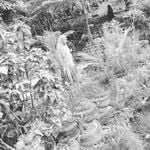 Profile Picture of MIER (@fitrialocha_1815) on Instagram