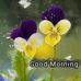 Profile Picture of Alexa Bary (@alexa.bary.549) on Facebook
