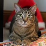 Profile Picture of Jeff, Todd, & Winston (@wearejtw) on Instagram