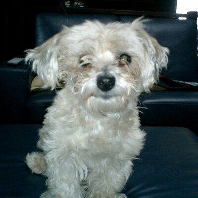 Profile Picture of Andrew McClelland (@Andymcc11) on Twitter