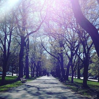 Lily Cronin - Facebook Profile Picture of Lily Cronin (@Lily-Cronin) on Facebook