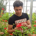Profile Picture of majid (@majid_soltanzadeh13) on Instagram