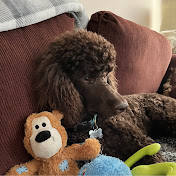 Profile Picture of Nancy Shields (@nancyshields1441) on Youtube