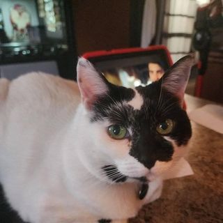 Profile Picture of Leslie Allison O'Brien-McMaster (@leslieallisonobrien) on Instagram