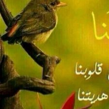 Profile Picture of باحث آثار (@grimes_lakisha) on Twitter