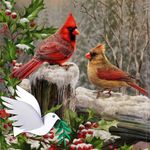 Profile Picture of Barbara Moody Letson (@letsonbarbara) on Instagram