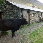 Profile Picture of Simon Hickson (@simonhickson1958) on Instagram