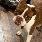 Profile Picture of Kenadie Prather (@Kenadie-Prather) on Facebook