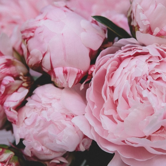 Shelly Haines - Poshmark Profile Picture of Shelly Haines (@poppet08) on Poshmark