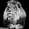 Profile Picture of JustinBartelings (@@justinbartelings) on Tiktok