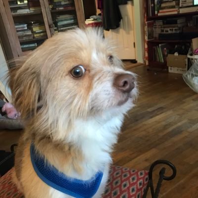 Profile Picture of Scott Nunn (@ScottNunn16) on Twitter