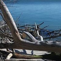 Profile Picture of Lisa Monteiro (@lisa-monteiro) on Quora