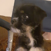 Profile Picture of Daniel Strickland (@danielstrickland2151) on Youtube