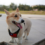 Profile Picture of Tom Yhtsui (@%u7FD4~%u98DB) on Flickr