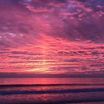 Profile Picture of Laurie Webb (@lauriew81670413) on Twitter