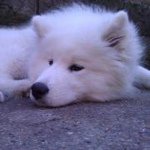 Profile Picture of Jason Ankers (@pastorjase23) on Instagram