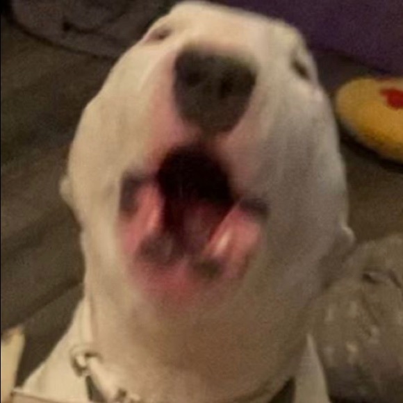 Profile Picture of Devin Cassedy (@devin268) on Poshmark