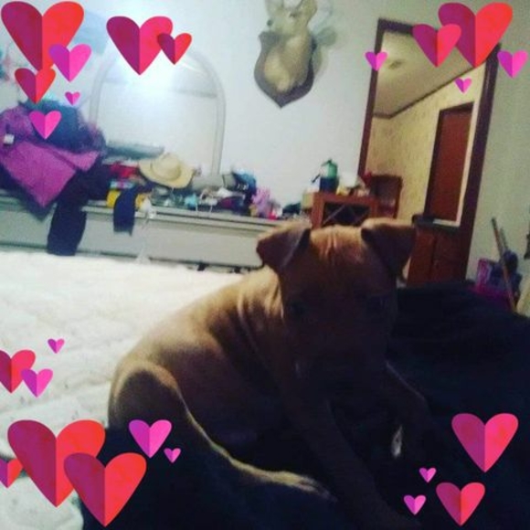 Profile Picture of Sharlette Smithwick (@sharlette1412) on Poshmark